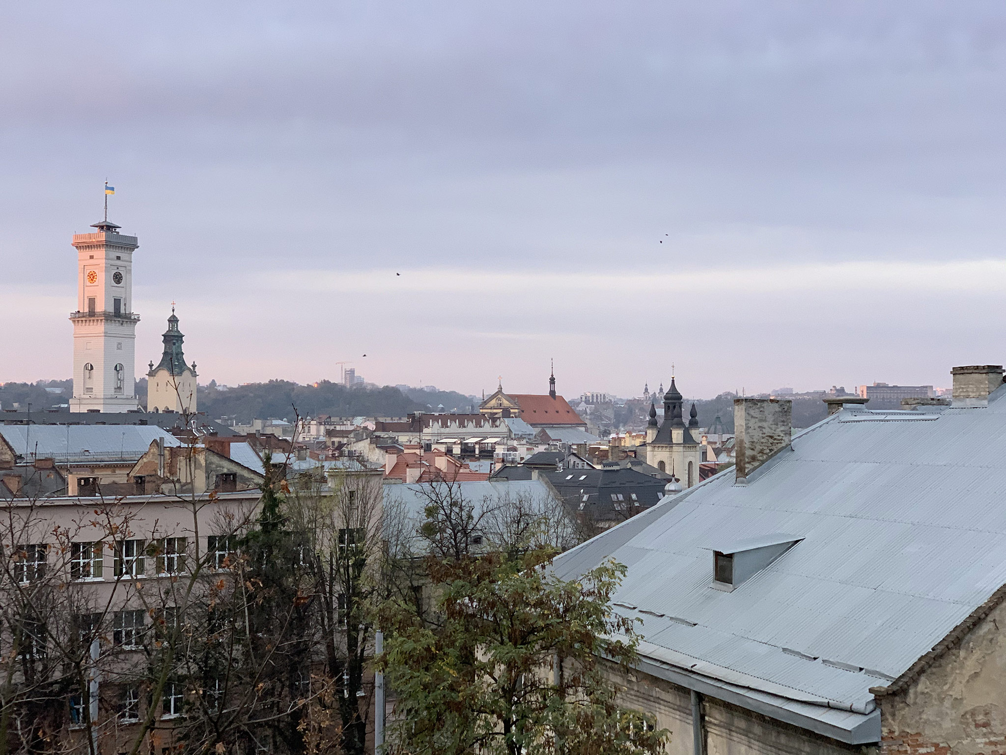 Lviv